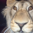 my-flesh-pits avatar