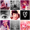 my-heart-is-blog avatar