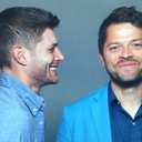 my-heart-is-full-of-destiel avatar