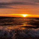 my-heart-is-on-the-run-forever avatar