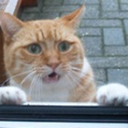 my-monochrome-soul avatar