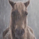 my-shlong-long-like-a-bong avatar