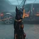 mybrainblossoms avatar