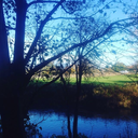 mybrainisweird avatar