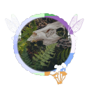 mycelium-sys avatar