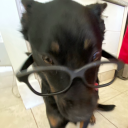 mydogtypedthis avatar