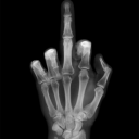 myfaceyourlapnow avatar