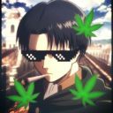 mylilprettythanglevi avatar