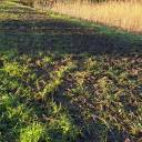 mymblaqaddiction avatar