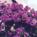 mymindmaybemelting avatar