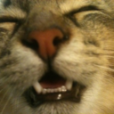 mynames-sam-blog avatar