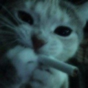 mypatheticthoughts avatar