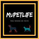 mypetlifestore-blog avatar