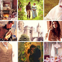 myshreddedwords avatar