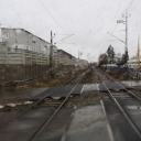 mystery-dead-world avatar