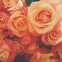 mystic-sanctuary avatar