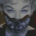 mystickittenwitch avatar