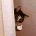 mythicallystupid avatar