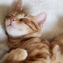 myunproductiveparadise avatar