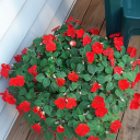 myviewsthings avatar