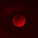 n0t-ur-fav0rite avatar