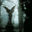 n4tionalparkgirl avatar