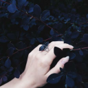 nadou-chinchin avatar