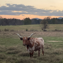 name-is-name-okay avatar