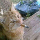 namedthedogindiana avatar