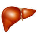 namelessliver avatar