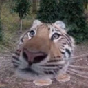 namelessvoid77 avatar