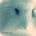 namemelife avatar