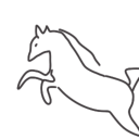 namesforhorses avatar