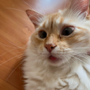 namida-namida avatar