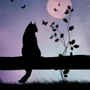 namiusedbubble avatar