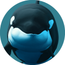 namu-the-orca avatar