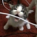 nanakamadoblog avatar