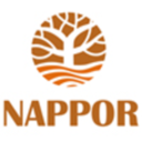 nappor-blog-blog avatar