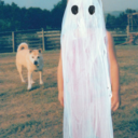 narcissistic-siren avatar