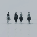 narniadynamics avatar