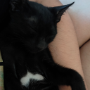 narniancumberwitch avatar