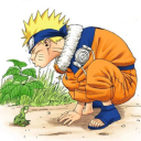 narutos-frogs avatar