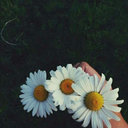 natalia-parrra21 avatar