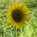 natipervivereadesso avatar