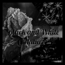nature-on-black-and-white avatar