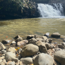 naturegoddessdiary avatar