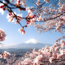 natures2travel avatar