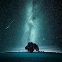 naturesadventurer avatar