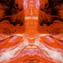 nautilusropeworks avatar