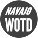 navajowotd avatar